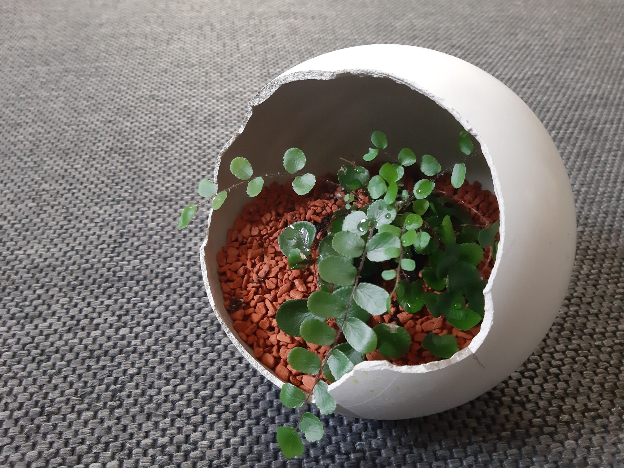 Ein schwerwiegendes Hobby – mit Beton kreativ austoben