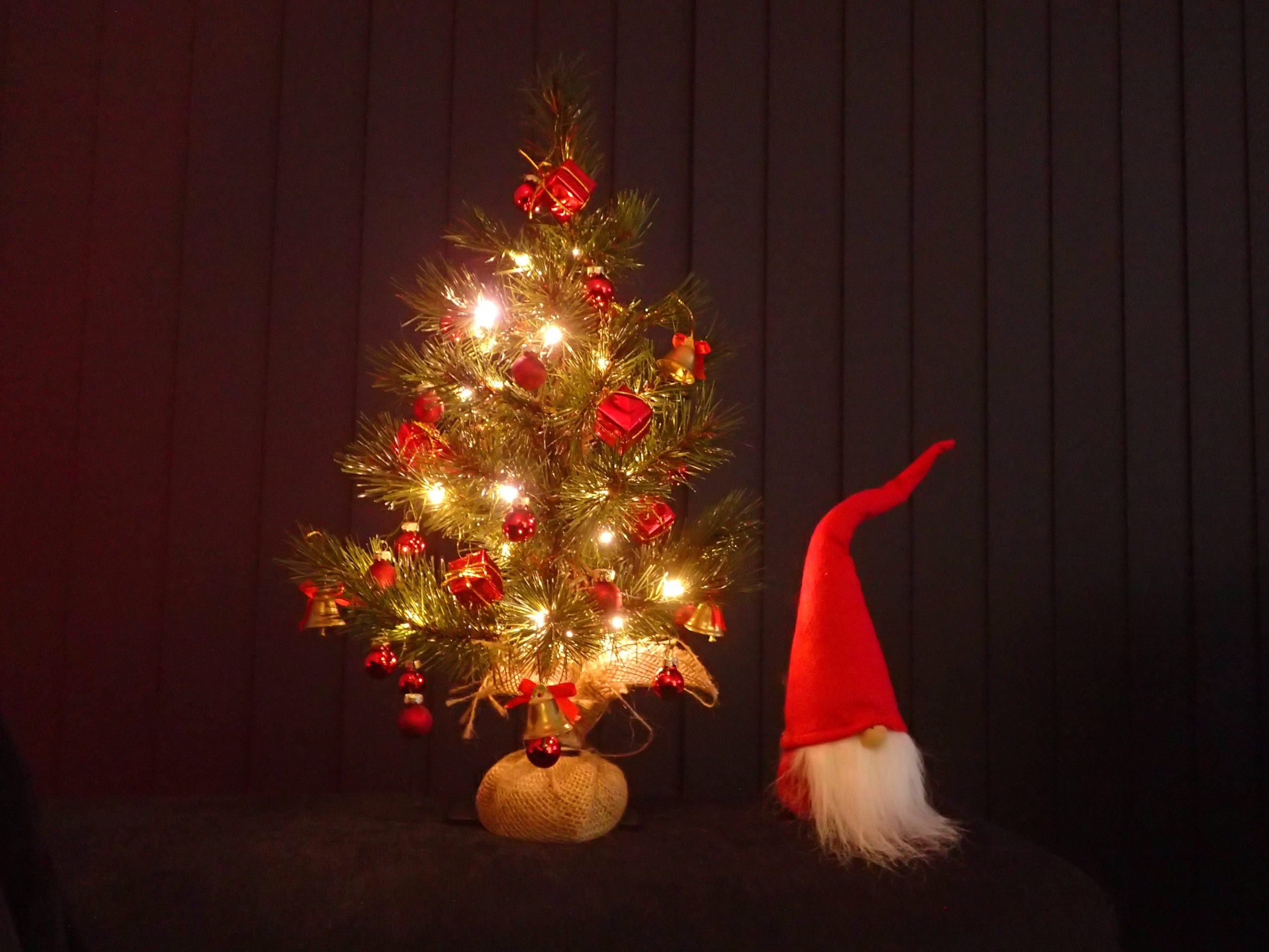 [K]ein Baum?
