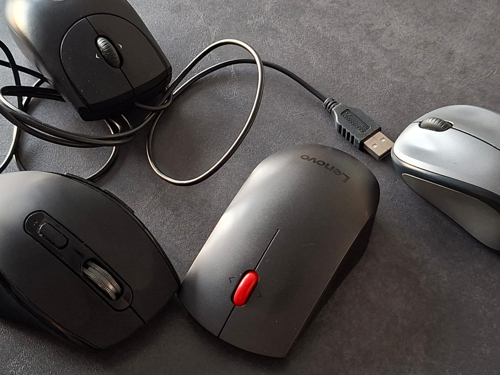 Ein Käfig voller Mäuse